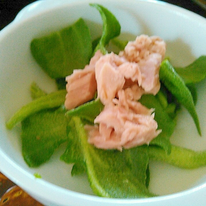 アイスプラント ツナのサラダ レシピ 作り方 By あけぼのマジック 楽天レシピ アイスプラント ツナのサラダ レシピ 作り方 By あけぼのマジック 楽天レシピ